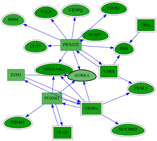 chia-screen-data-Fav-reg-snw-6790 subnetwork