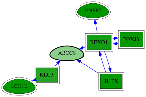 chia-screen-data-Fav-reg-snw-6833 subnetwork