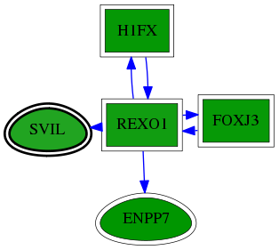 chia-screen-data-Fav-reg-snw-6840 subnetwork