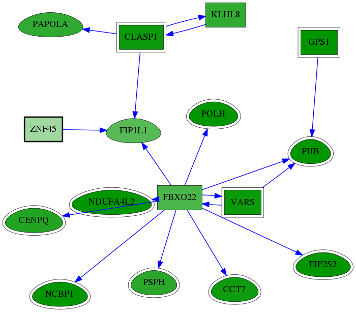 chia-screen-data-Fav-reg-snw-7596 subnetwork