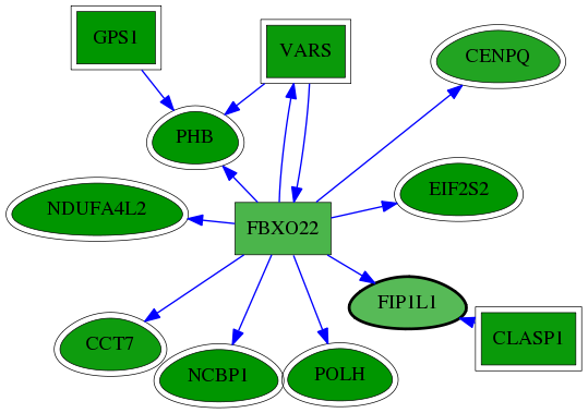 chia-screen-data-Fav-reg-snw-81608 subnetwork