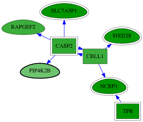 chia-screen-data-Fav-reg-snw-8396 subnetwork