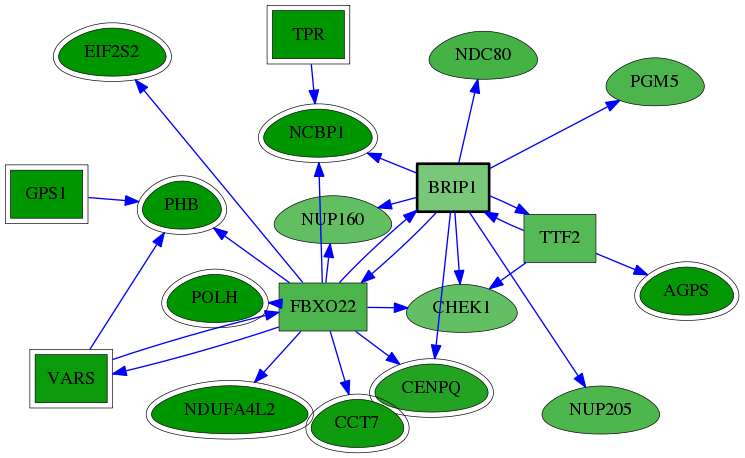 chia-screen-data-Fav-reg-snw-83990 subnetwork