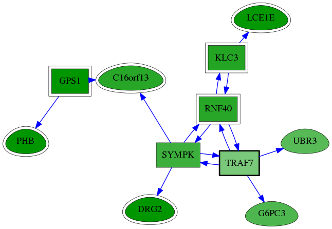 chia-screen-data-Fav-reg-snw-84231 subnetwork