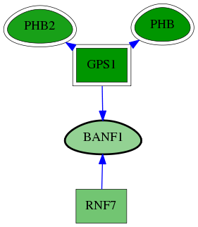 chia-screen-data-Fav-reg-snw-8815 subnetwork