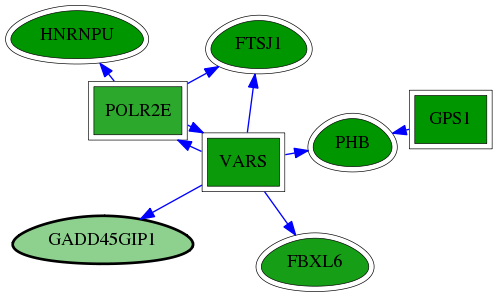 chia-screen-data-Fav-reg-snw-90480 subnetwork