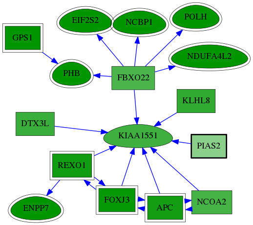 chia-screen-data-Fav-reg-snw-9063 subnetwork