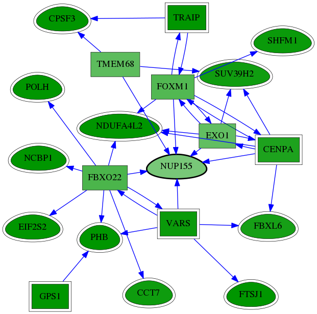 chia-screen-data-Fav-reg-snw-9631 subnetwork