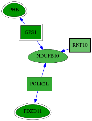 chia-screen-data-Fav-reg-snw-9921 subnetwork