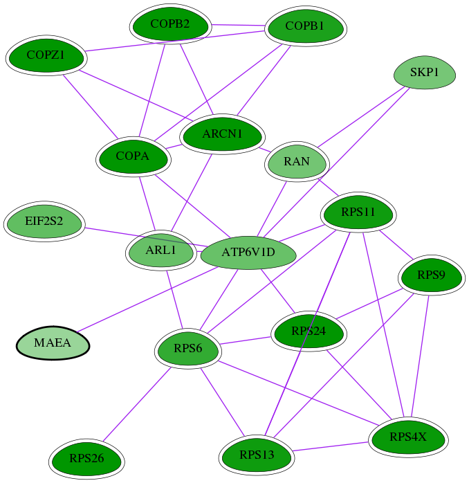 tai-screen-luciferase-int-snw-10296 subnetwork