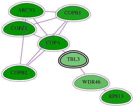 tai-screen-luciferase-int-snw-10607 subnetwork