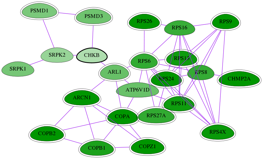 tai-screen-luciferase-int-snw-1120 subnetwork