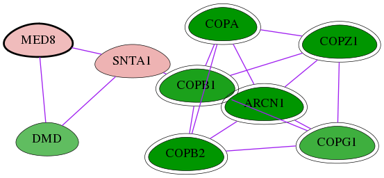 tai-screen-luciferase-int-snw-112950 subnetwork