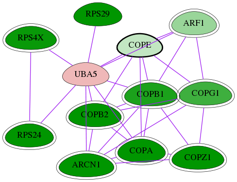 tai-screen-luciferase-int-snw-11316 subnetwork