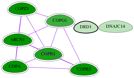 tai-screen-luciferase-int-snw-1812 subnetwork