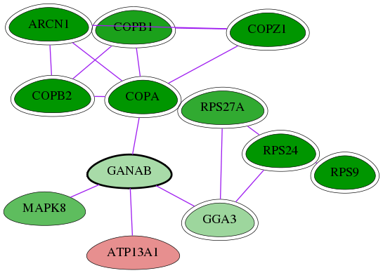 tai-screen-luciferase-int-snw-23193 subnetwork