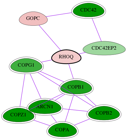 tai-screen-luciferase-int-snw-23433 subnetwork