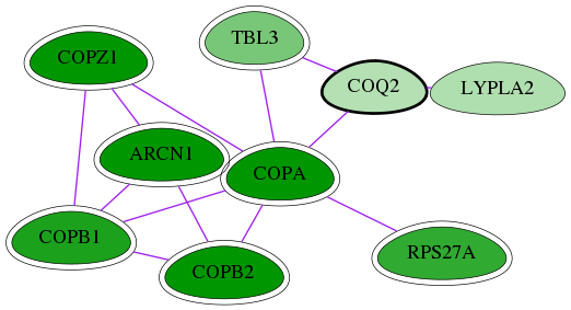 tai-screen-luciferase-int-snw-27235 subnetwork