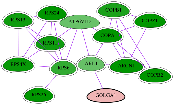 tai-screen-luciferase-int-snw-2800 subnetwork