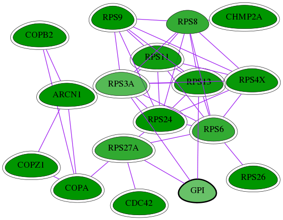 tai-screen-luciferase-int-snw-2821 subnetwork