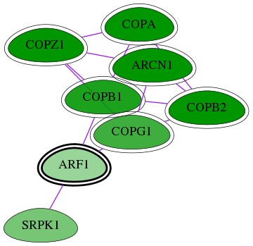 tai-screen-luciferase-int-snw-375 subnetwork