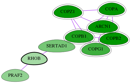 tai-screen-luciferase-int-snw-388 subnetwork