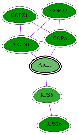 tai-screen-luciferase-int-snw-400 subnetwork