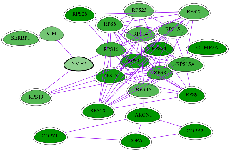 tai-screen-luciferase-int-snw-4831 subnetwork