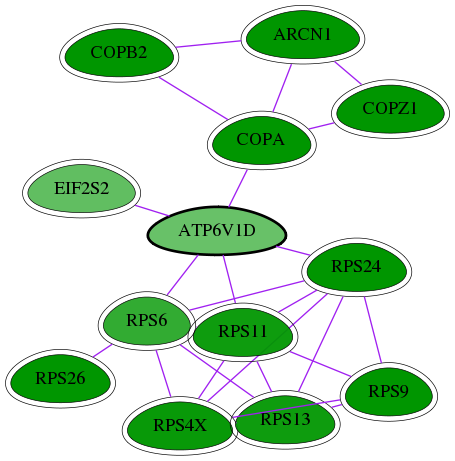 tai-screen-luciferase-int-snw-51382 subnetwork