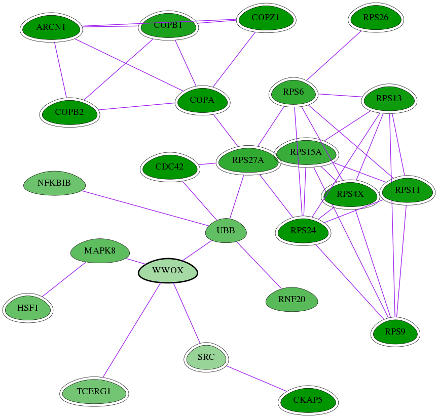 tai-screen-luciferase-int-snw-51741 subnetwork