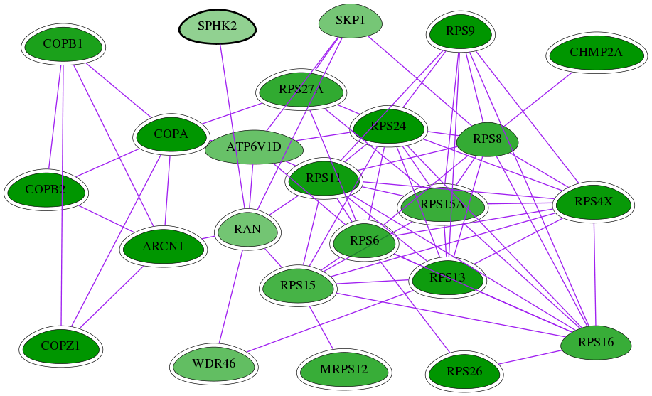 tai-screen-luciferase-int-snw-56848 subnetwork