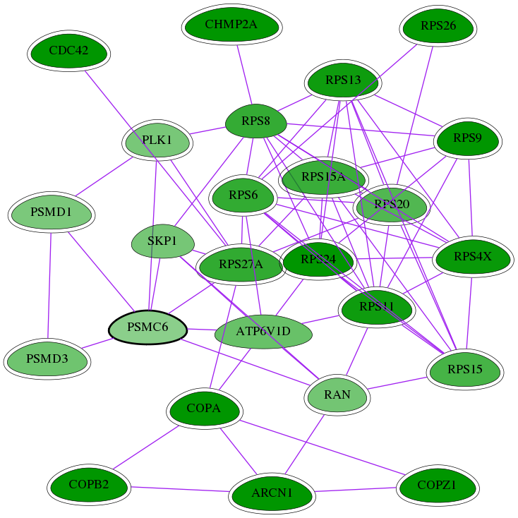 tai-screen-luciferase-int-snw-5706 subnetwork