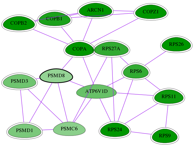 tai-screen-luciferase-int-snw-5714 subnetwork