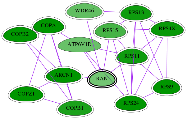 tai-screen-luciferase-int-snw-5901 subnetwork