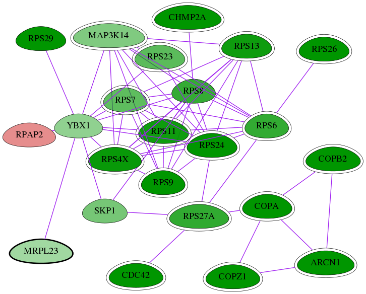 tai-screen-luciferase-int-snw-6150 subnetwork