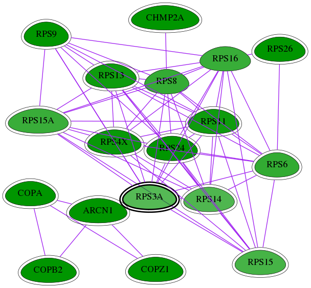 tai-screen-luciferase-int-snw-6189 subnetwork