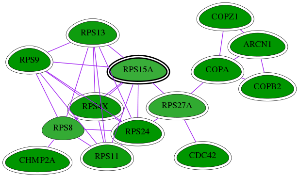 tai-screen-luciferase-int-snw-6210 subnetwork