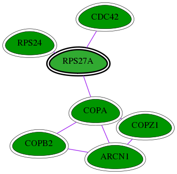 tai-screen-luciferase-int-snw-6233 subnetwork