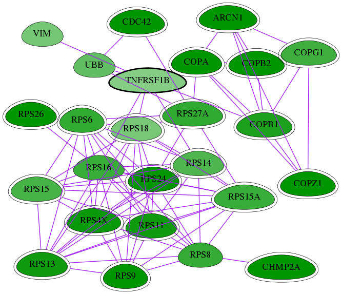 tai-screen-luciferase-int-snw-7133 subnetwork