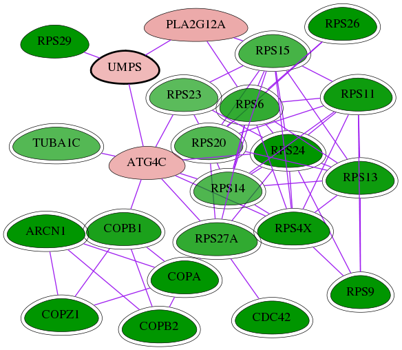 tai-screen-luciferase-int-snw-7372 subnetwork