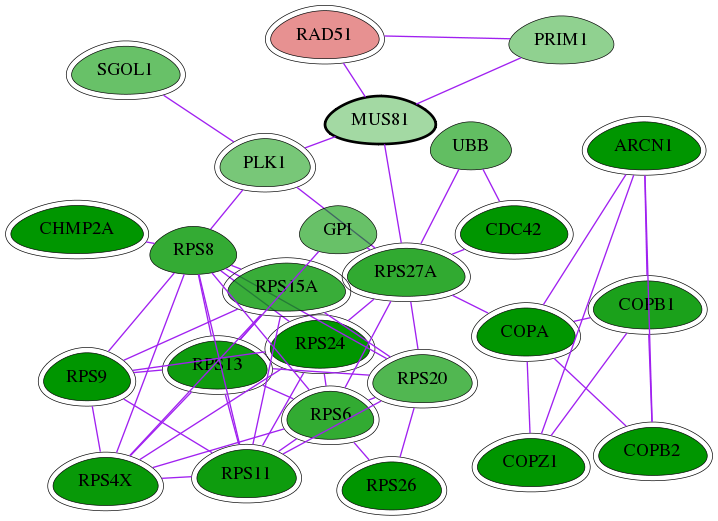 tai-screen-luciferase-int-snw-80198 subnetwork