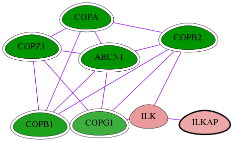 tai-screen-luciferase-int-snw-80895 subnetwork