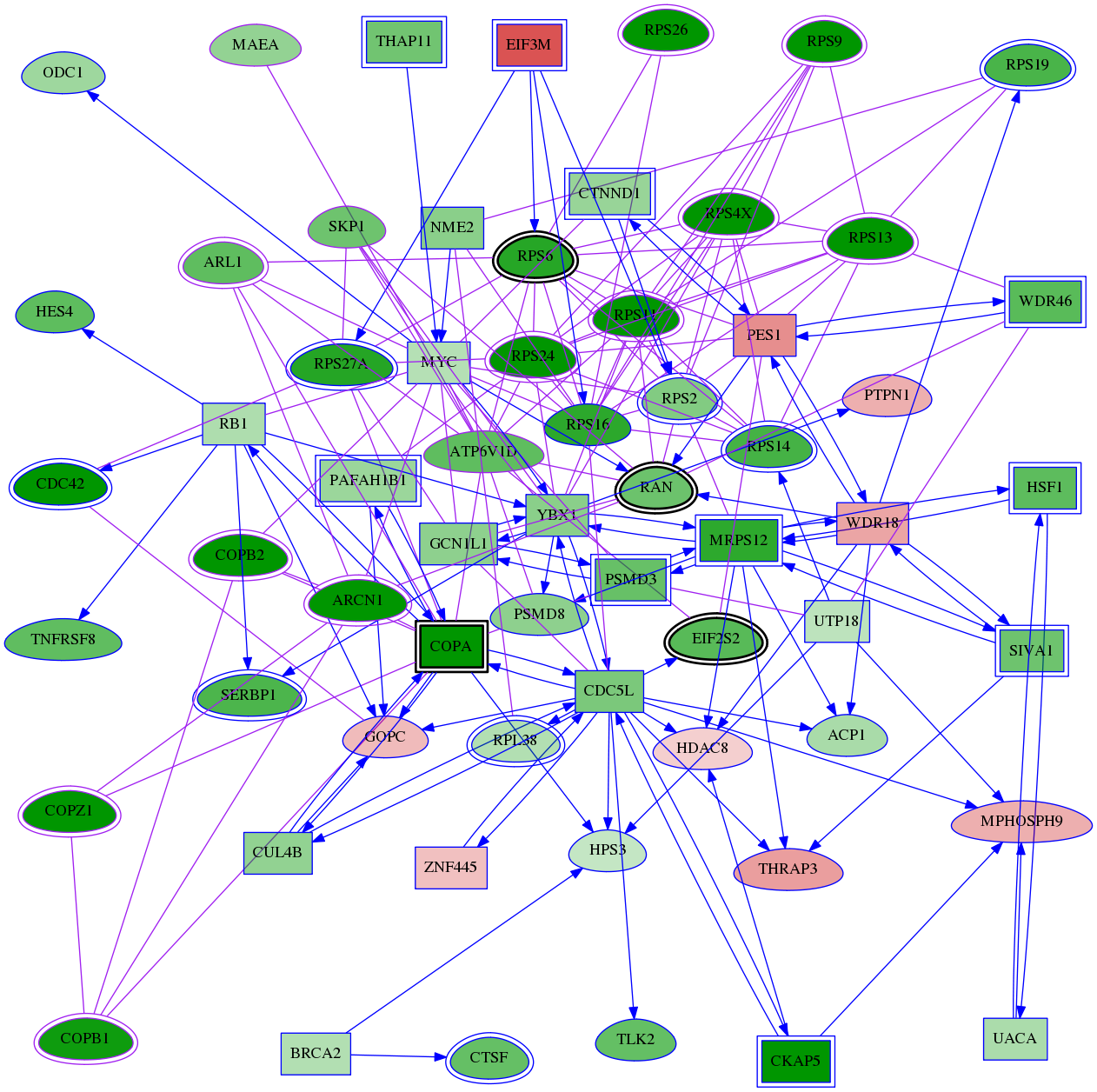 tai-screen-luciferase-meta-int-snw-10296 subnetwork