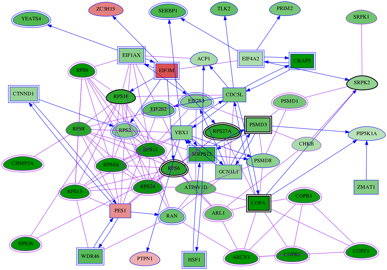 tai-screen-luciferase-meta-int-snw-1120 subnetwork