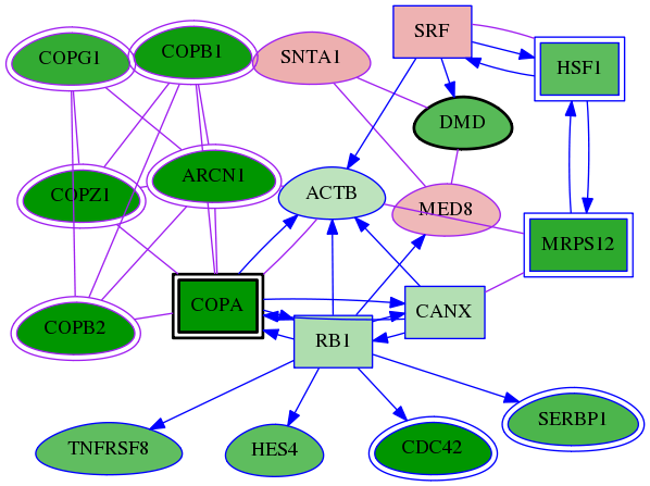 tai-screen-luciferase-meta-int-snw-112950 subnetwork