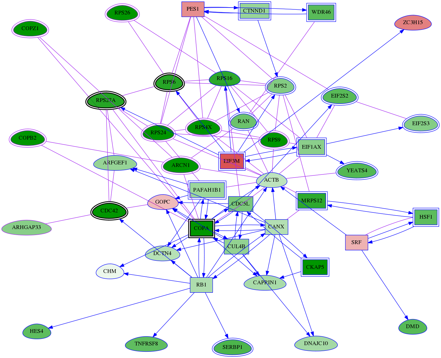 tai-screen-luciferase-meta-int-snw-115703 subnetwork