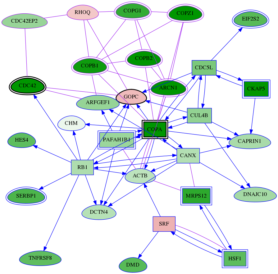 tai-screen-luciferase-meta-int-snw-23433 subnetwork