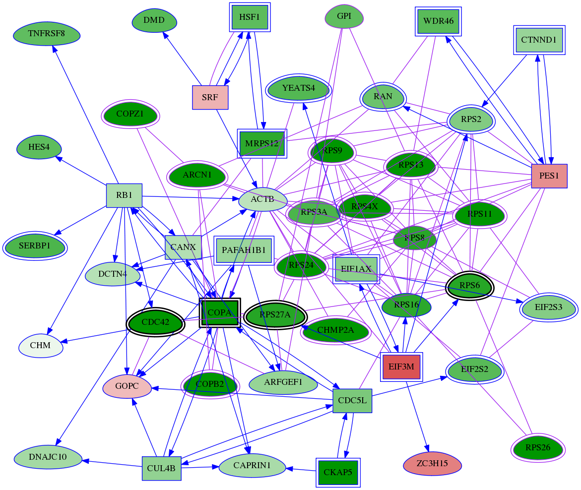 tai-screen-luciferase-meta-int-snw-2821 subnetwork