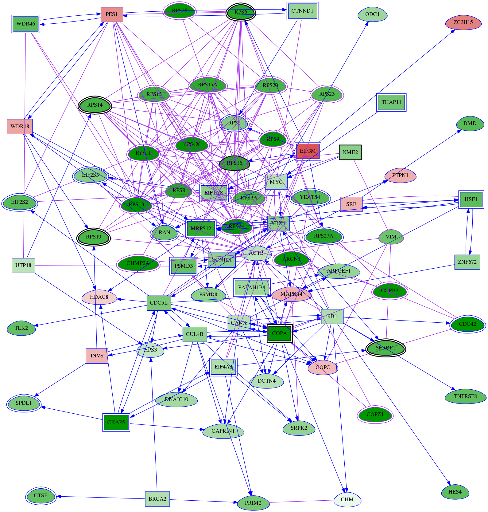 tai-screen-luciferase-meta-int-snw-4831 subnetwork