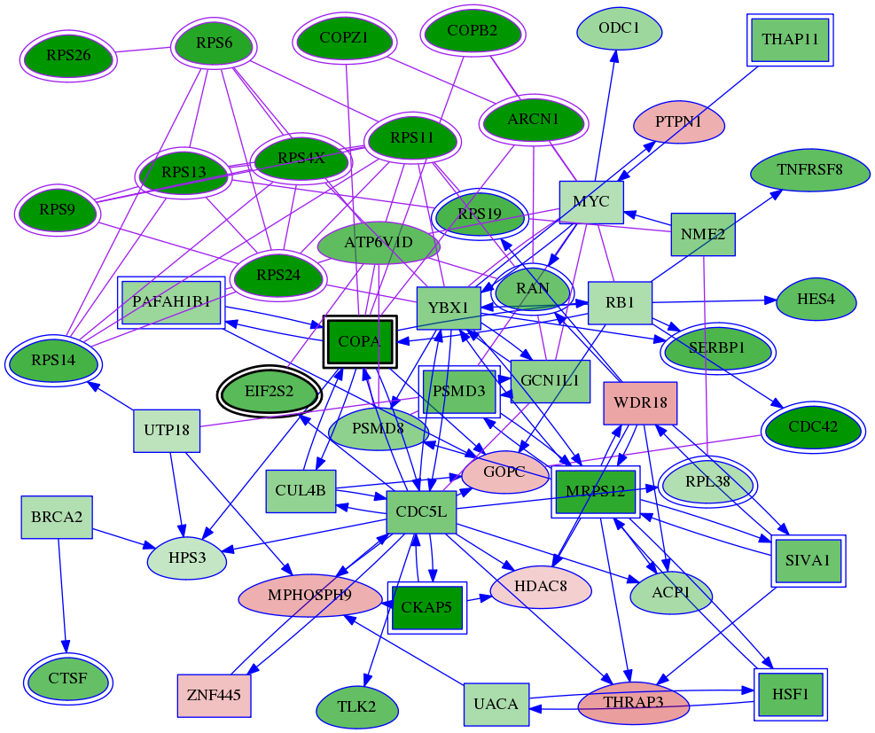 tai-screen-luciferase-meta-int-snw-51382 subnetwork